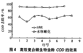 雷朋sbr91